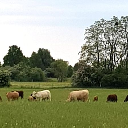 Ferienwohnung Wolf Nietwerder Bagian luar foto